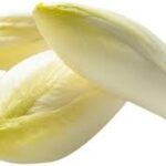 Endive