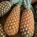 Ananas Pain de sucre